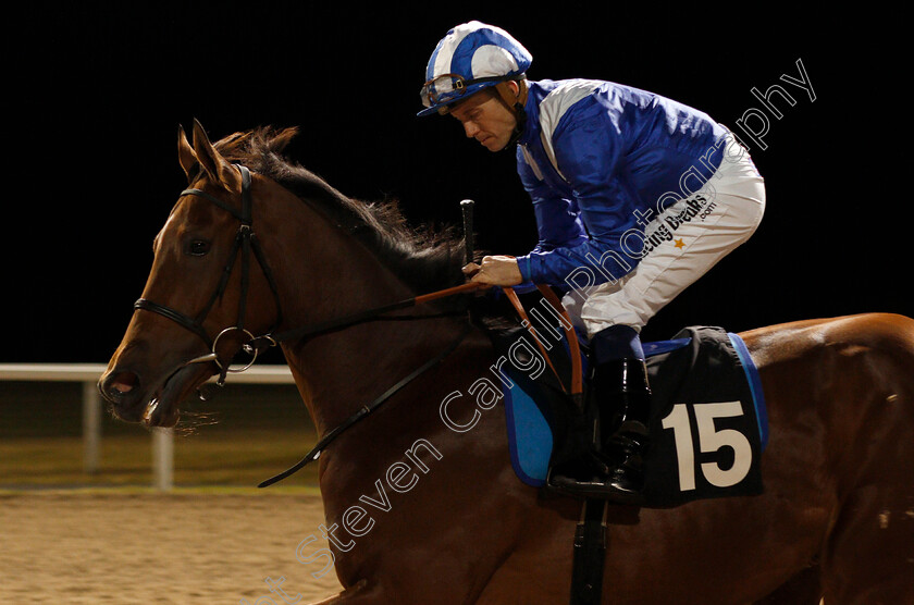 Qaswarah-0001 
 QASWARAH (Jim Crowley) Chelmsford 16 Nov 2017 - Pic Steven Cargill / Racingfotos.com