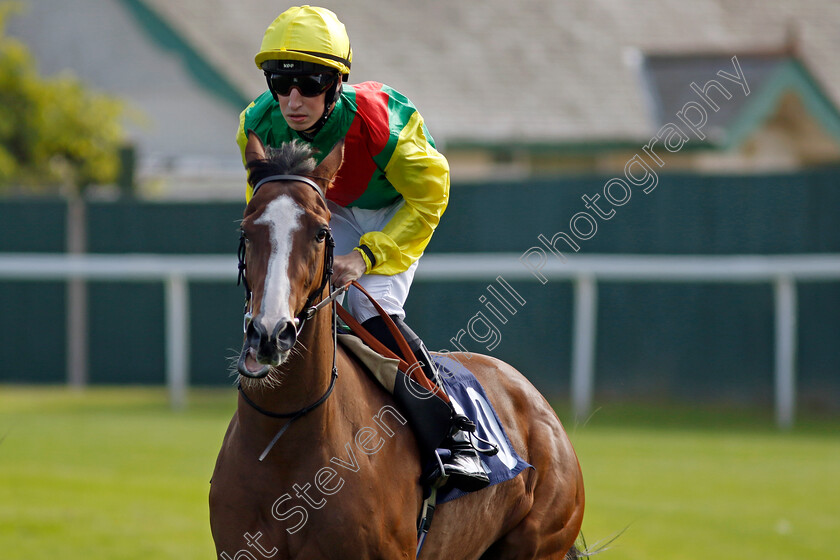 Soho-Square-0001 
 SOHO SQUARE (Ross Coakley)
Yarmouth 18 Sep 2024 - Pic Steven Cargill / Racingfotos.com