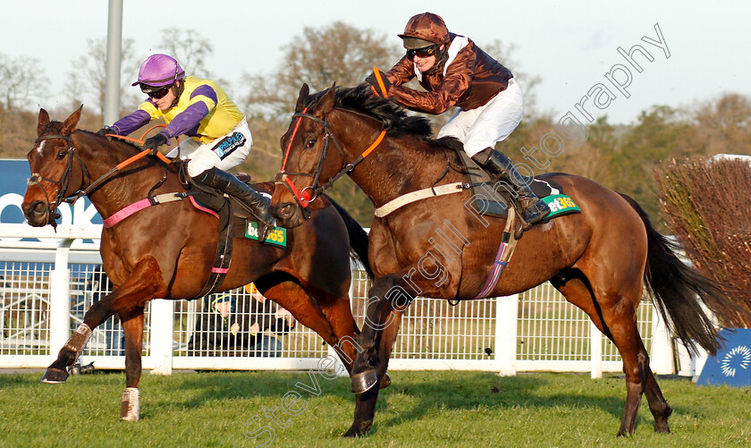 Domaine-De-L Isle-0004 
 DOMAINE DE L'ISLE (right, David Bass) beats HAPPY DIVA (left) in The Bet365 Handicap Chase
Ascot 18 Jan 2020 - Pic Steven Cargill / Racingfotos.com