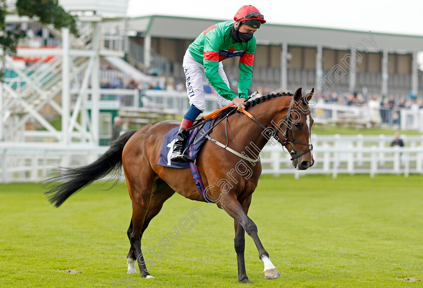 Liberty-Warrior-0001 
 LIBERTY WARRIOR (Adam Kirby)
Yarmouth 14 Jul 2021 - Pic Steven Cargill / Racingfotos.com