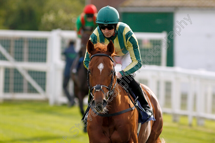 Telemark-0006 
 TELEMARK (Jack Mitchell) winner of The British Stallion Studs EBF Novice Stakes
Yarmouth 16 Oct 2023 - Pic Steven Cargill / Racingfotos.com