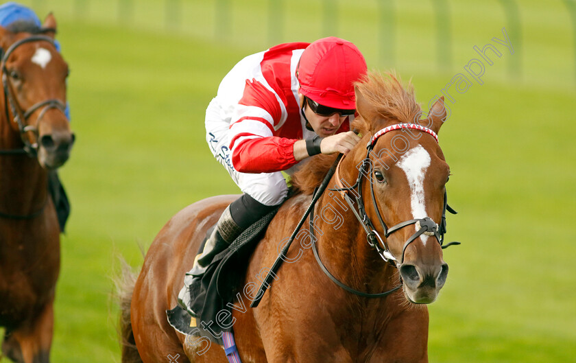 Hand-Of-God-0001 
 HAND OF GOD (Kevin Stott) wins The Virgin Bet Best Odds Daily British EBF Maiden Stakes
Newmarket 7 Oct 2023 - Pic Steven Cargill / Racingfotos.com