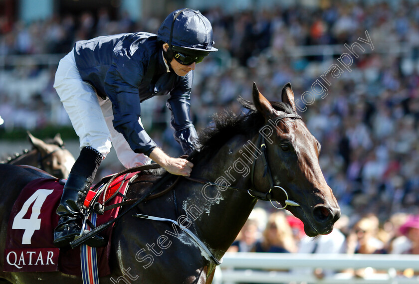 Land-Force-0008 
 LAND FORCE (Ryan Moore) wins The Qatar Richmond Stakes
Goodwood 2 Aug 2018 - Pic Steven Cargill / Racingfotos.com