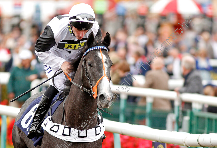 Tip-Two-Win-0001 
 TIP TWO WIN (Adam Kirby) winner of The Weatherbys Bank Foreign Exchange Flying Scotsman Stakes Doncaster 15 Sep 2017 - Pic Steven Cargill / Racingfotos.com