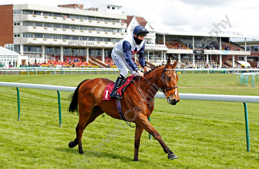 Sunset-Breeze-0001 
 SUNSET BREEZE (Luke Morris)
Haydock 22 May 2021 - Pic Steven Cargill / Racingfotos.com