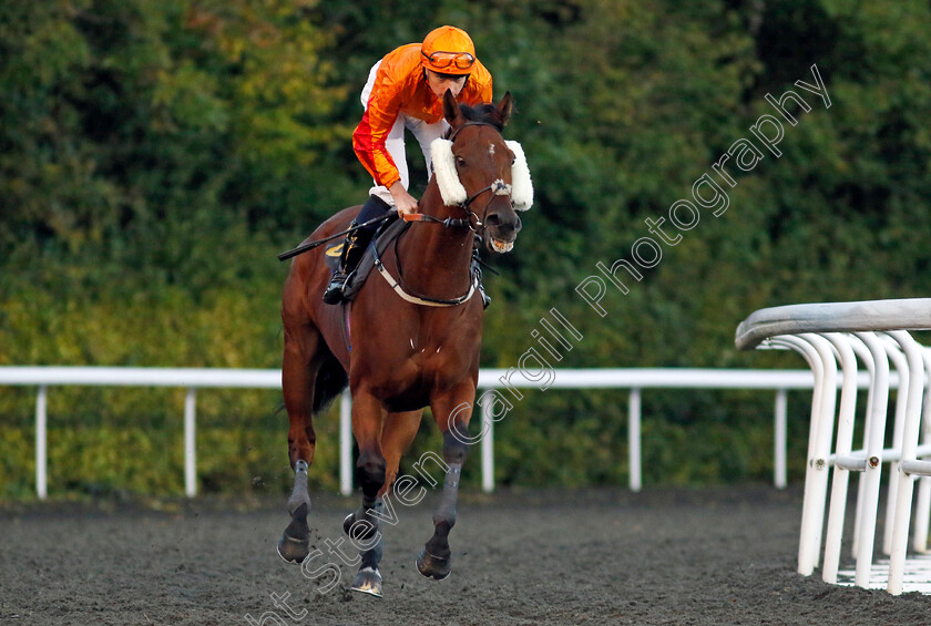 Tahitian-Prince-0002 
 TAHITIAN PRINCE (Callum Shepherd)
Kempton 2 Oct 2024 - pic Steven Cargill / Racingfotos.com