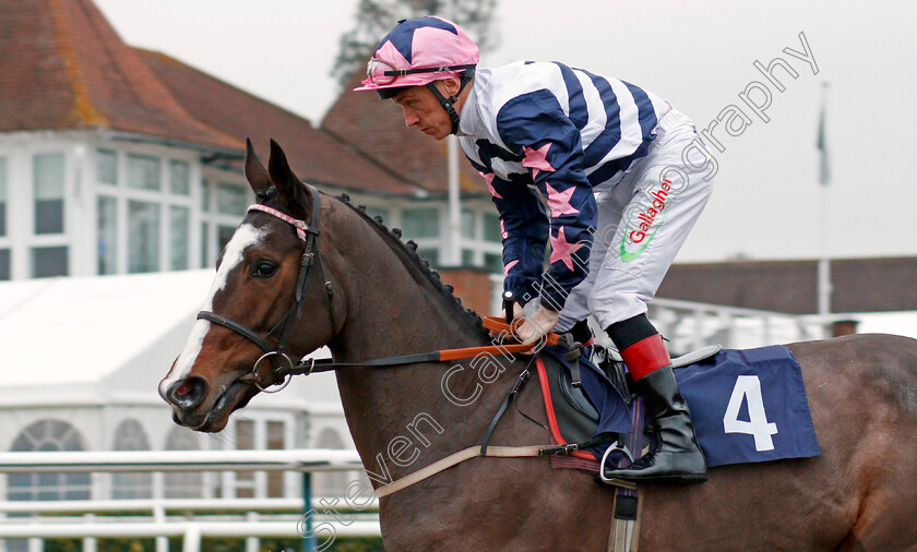 Lost-The-Moon-0001 
 LOST THE MOON (Shane Kelly) Lingfield 20 Dec 2017 - Pic Steven Cargill / Racingfotos.com