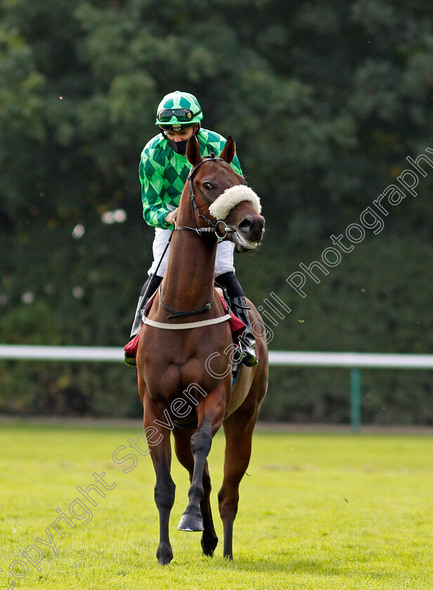 Tom-Tulliver-0001 
 TOM TULLIVER (David Nolan)
Haydock 4 Sep 2020 - Pic Steven Cargill / Racingfotos.com