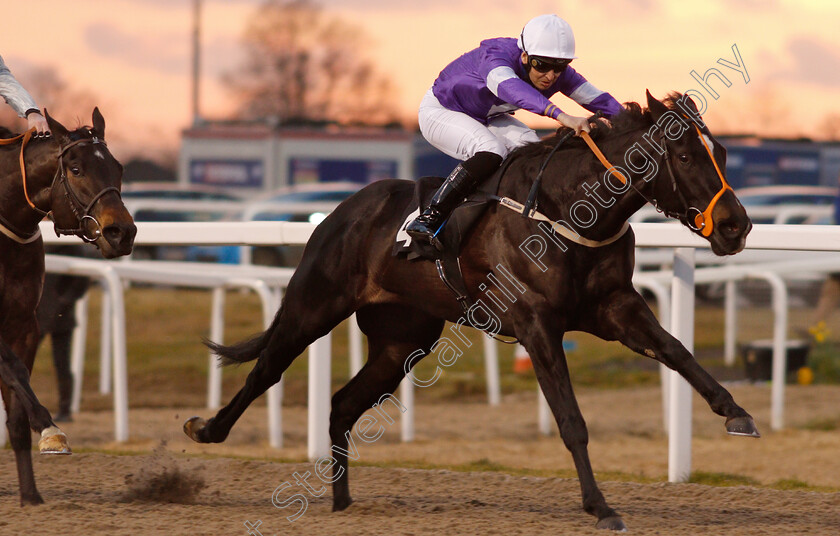 Fen-Breeze-0004 
 FEN BREEZE (Nicky Mackay) wins The £20 Free Bets At totesport.com Novice Stakes
Chelmsford 20 Feb 2019 - Pic Steven Cargill / Racingfotos.com