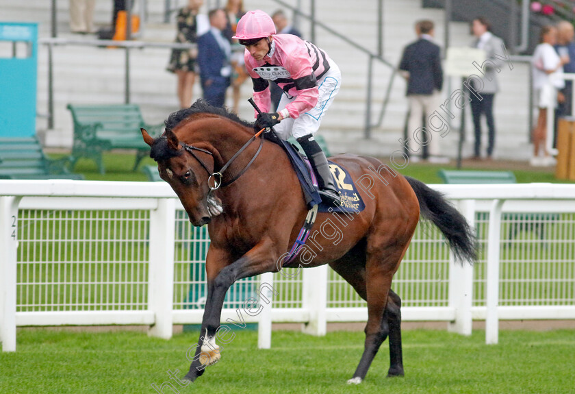 Winston s-Warrior-0001 
 WINSTON'S WARRIOR (Kieran Shoemark)
Ascot 6 Sep 2024 - Pic Steven Cargill / Racingfotos.com