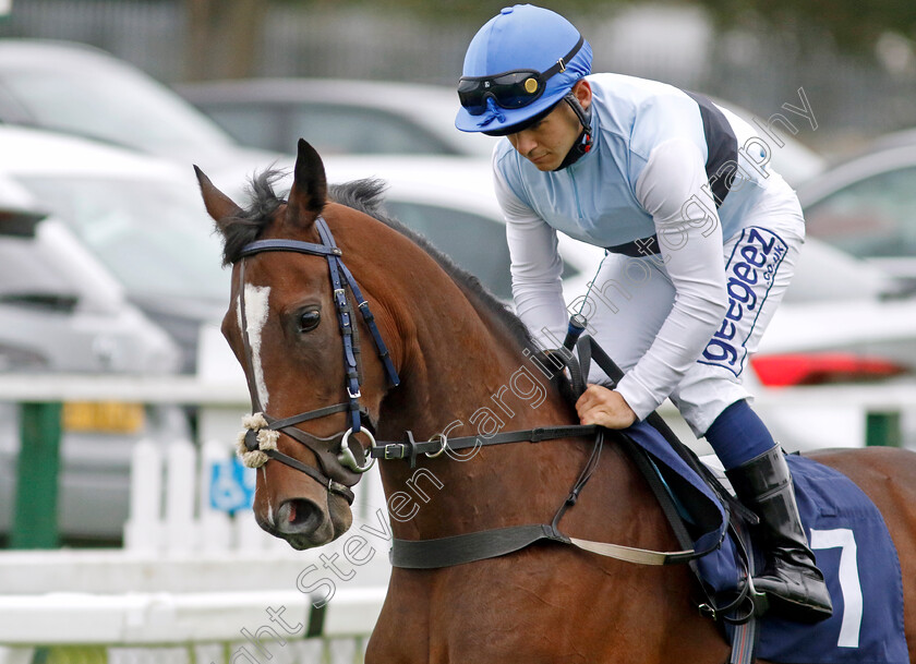 Premiere-Beauty-0002 
 PREMIERE BEAUTY (Marco Ghiani)
Yarmouth 19 Sep 2023 - Pic Steven Cargill / Racingfotos.com