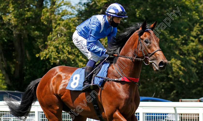 Qasaad-0001 
 QASAAD (Jim Crowley)
Salisbury 8 Jun 2021 - Pic Steven Cargill / Racingfotos.com