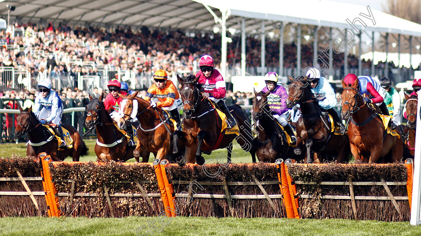 Apple s-Jade-0003 
 APPLE'S JADE (Jack Kennedy)
Aintree 6 Apr 2019 - Pic Steven Cargill / Racingfotos.com