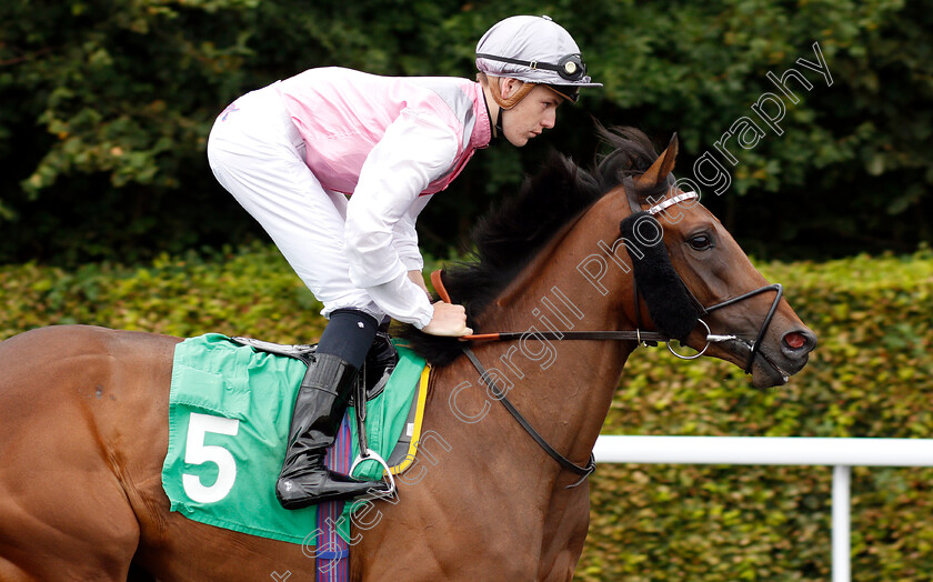 Chakrii-0001 
 CHAKRII (Cameron Noble)
Kempton 15 Aug 2018 - Pic Steven Cargill / Racingfotos.com