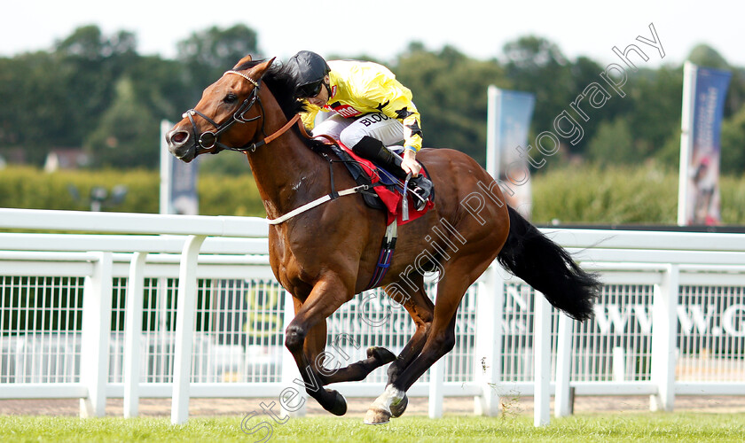 Beringer-0003 
 BERINGER (Martin Harley) wins The Beck Handicap
Sandown 15 Jun 2018 - Pic Steven Cargill / Racingfotos.com