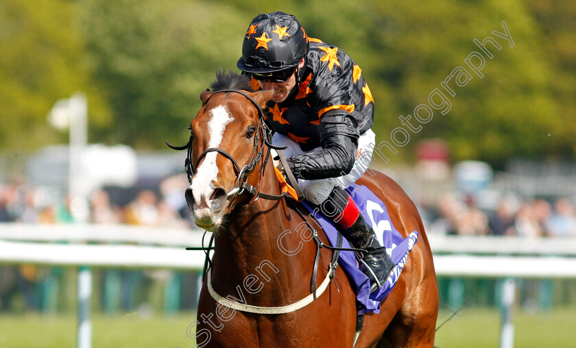 Rohaan-0009 
 ROHAAN (Shane Kelly) wins The Casumo Bet10Get10 Sandy Lane Stakes
Haydock 22 May 2021 - Pic Steven Cargill / Racingfotos.com