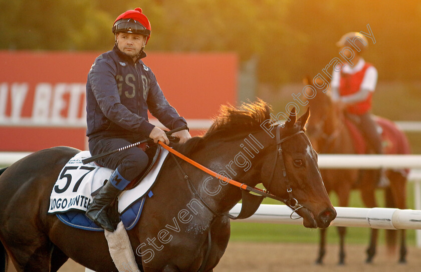 Logo-Hunter-0001 
 LOGO HUNTER training at the Dubai World Cup Carnival
Meydan 5 Jan 2023 - Pic Steven Cargill / Racingfotos.com