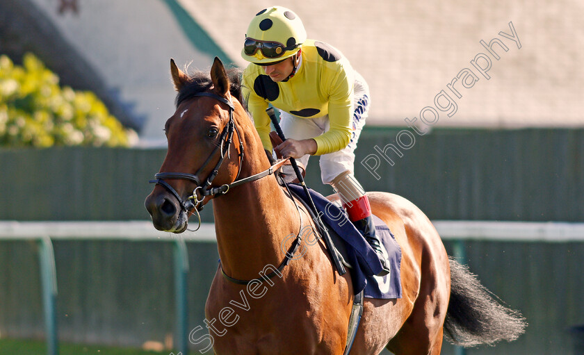 Count-Of-Amazonia-0001 
 COUNT OF AMAZONIA (Andrea Atzeni)
Yarmouth 19 Sep 2019 - Pic Steven Cargill / Racingfotos.com