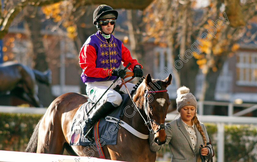 Take-To-Heart-0001 
 TAKE TO HEART (Nico De Boinville) Ascot 25 Nov 2017 - Pic Steven Cargill / Racingfotos.com