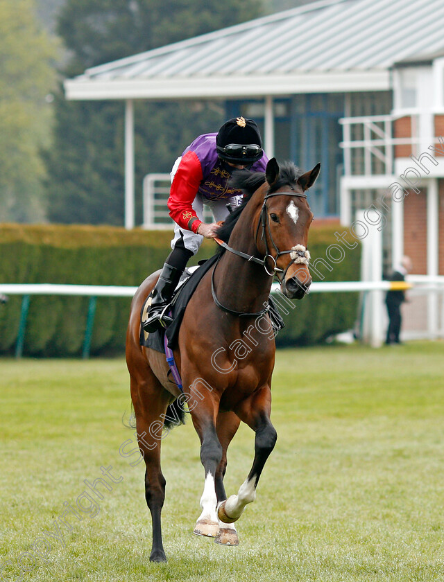 Sun-Festival-0002 
 SUN FESTIVAL (Ryan Moore)
Nottingham 27 Apr 2021 - Pic Steven Cargill / Racingfotos.com