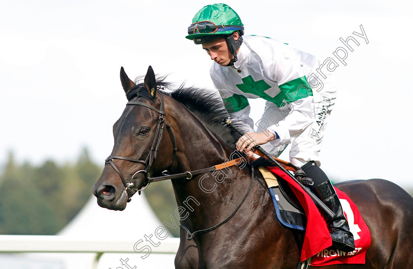 Lord-Protector-0002 
 LORD PROTECTOR (Rossa Ryan)
Sandown 2 Sep 2023 - Pic Steven Cargill / Racingfotos.com