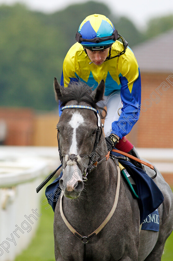 Dragon-Symbol-0001 
 DRAGON SYMBOL (Oisin Murphy)
York 20 Aug 2021 - Pic Steven Cargill / Racingfotos.com