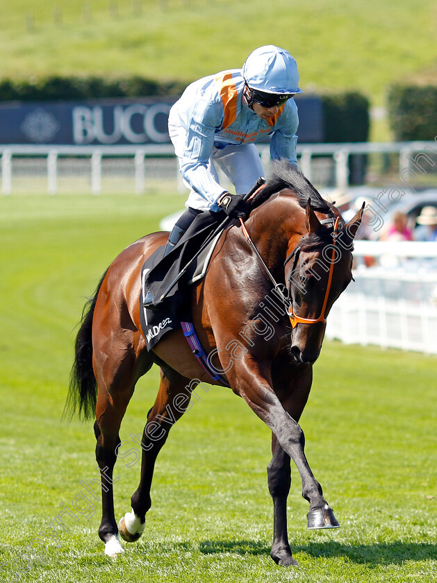 An-Outlaw s-Grace-0002 
 AN OUTLAW'S GRACE (Sean Levey)
Goodwood 30 Jul 2024 - Pic Steven Cargill / Racingfotos.com