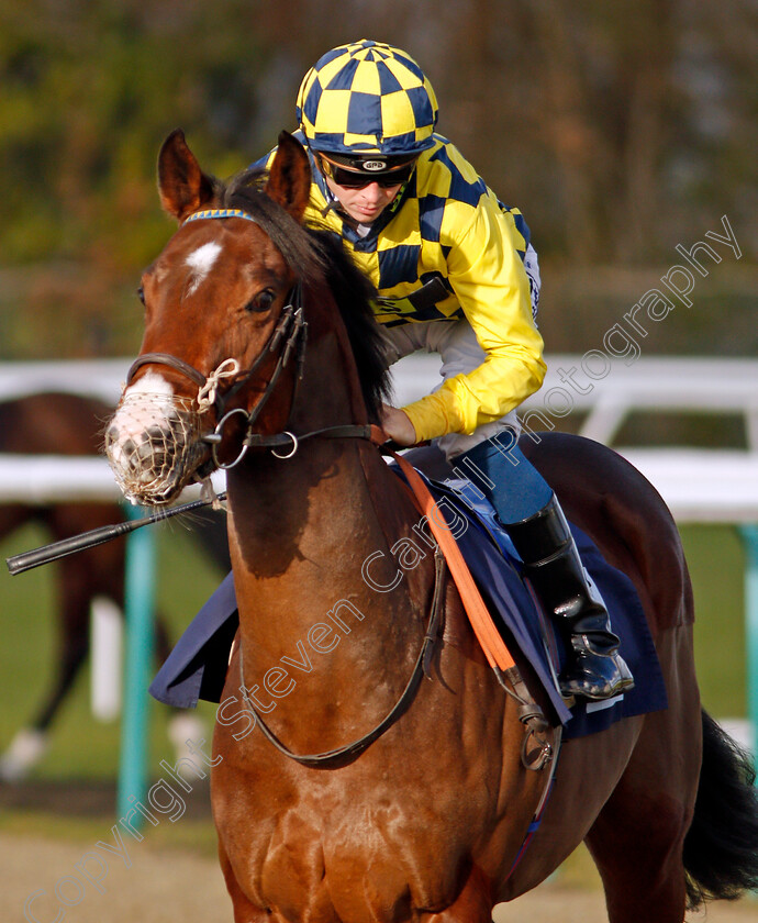 Giovanni-Tiepolo-0001 
 GIOVANNI TIEPOLO (David Probert)
Lingfield 9 Dec 2019 - Pic Steven Cargill / Racingfotos.com