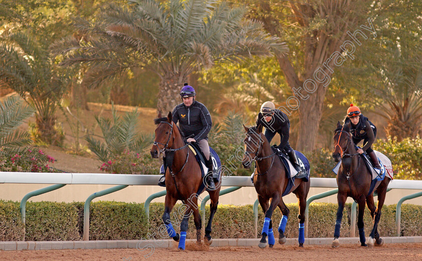 Mishrif,-Cherokee-Trail-and-Momkin-0001 
 left to right; MISHRIF, CHEROKEE TRAIL and MOMKIN preparing for their races at the Saudi Cup meeting
Riyadh Racecourse, Kingdom of Saudi Arabia 26 Feb 2020 - Pic Steven Cargill / Racingfotos.com