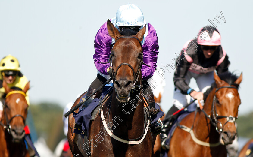 Dash-Of-Spice-0005 
 DASH OF SPICE (Silvestre De Sousa) wins The Duke Of Edinburgh Stakes
Royal Ascot 22 Jun 2018 - Pic Steven Cargill / Racingfotos.com