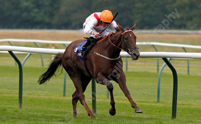 Beautiful-Gesture-0001 
 BEAUTIFUL GESTURE (Harrison Shaw)
Nottingham 16 Jul 2019 - Pic Steven Cargill / Racingfotos.com