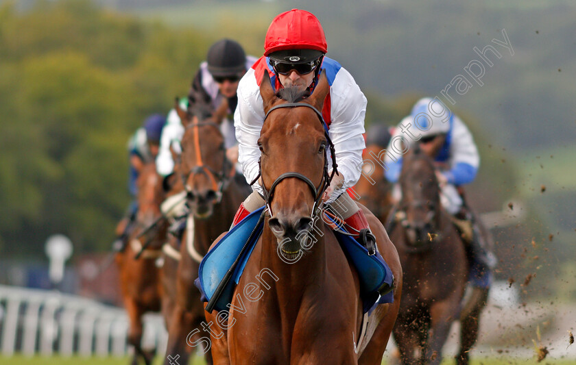 Sparte-Quercus-0005 
 SPARTE QUERCUS (Franny Norton) wins The Andrea And Martin Big Wedding Day Handicap Chepstow 6 Sep 2017 - Pic Steven Cargill / Racingfotos.com