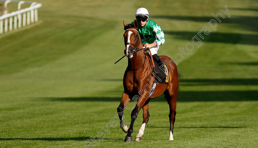 Sir-William-0001 
 SIR WILLIAM (Tom Marquand)
Newmarket 9 Aug 2024 - Pic Steven Cargill / Racingfotos.com