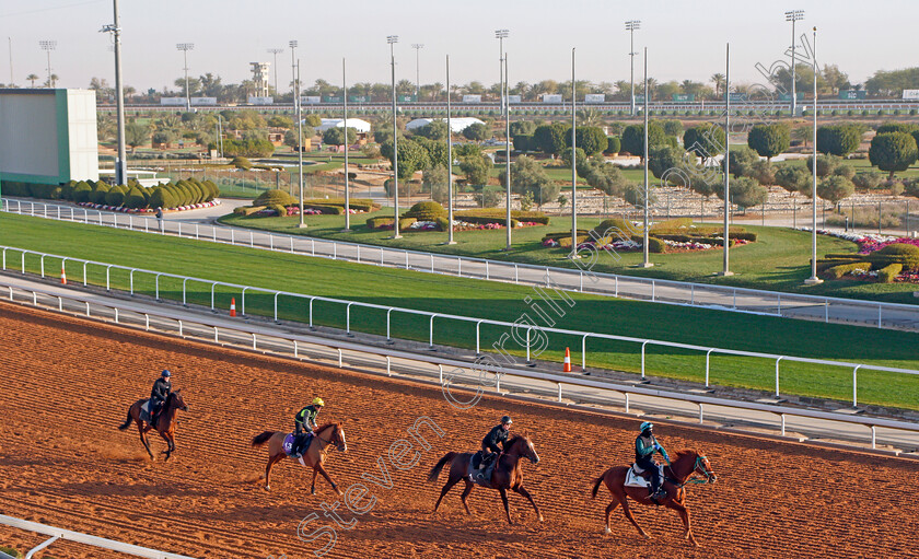 Horses-training-0001 
 Horses training at the Saudi Cup
King Abdulaziz Racetrack, Riyadh, Saudi Arabia 23 Feb 2022 - Pic Steven Cargill / Racingfotos.com