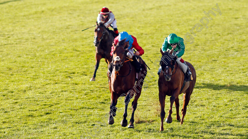 Bay-Bridge-0005 
 BAY BRIDGE (left, Ryan Moore) beats MAJESTIC DAWN (right) in The 888sport James Seymour Stakes
Newmarket 30 Oct 2021 - Pic Steven Cargill / Racingfotos.com