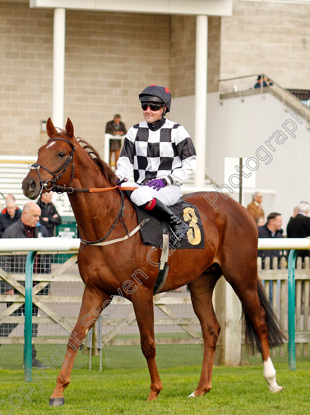 Love-You-Back-0001 
 LOVE YOU BACK (Tom Queally)
Newmarket 23 Oct 2024 - Pic Steven Cargill / Racingfotos.com