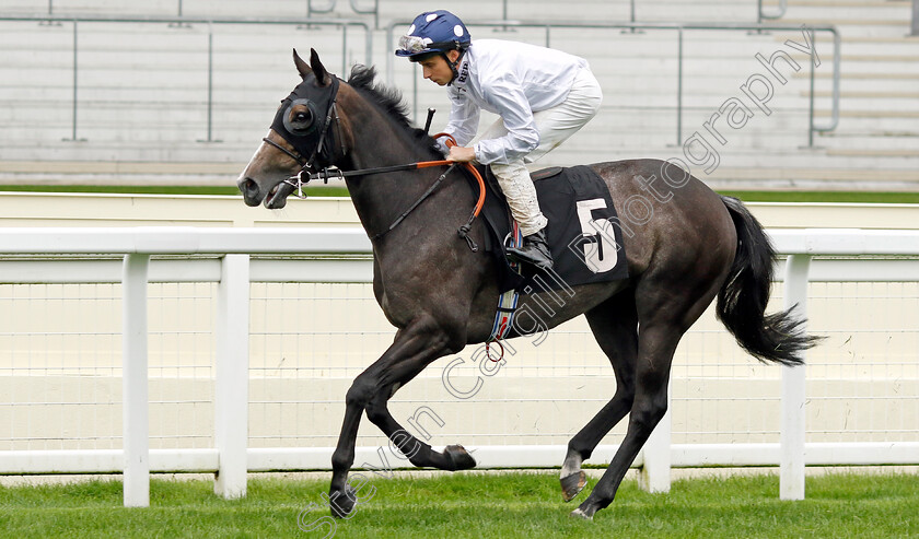 Newlyn-School-0001 
 NEWLYN SCHOOL (William Buick)
Ascot 6 Sep 2024 - Pic Steven Cargill / Racingfotos.com