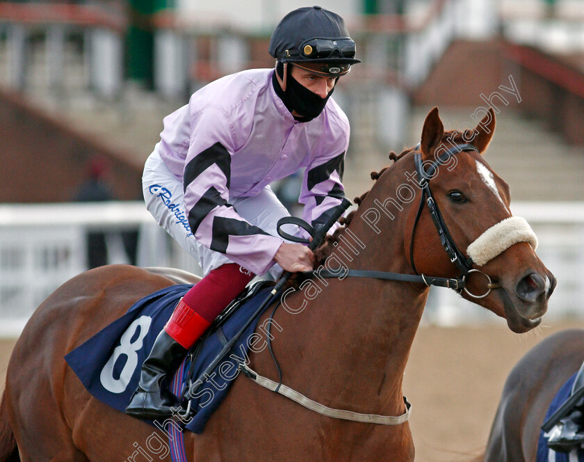 Maple-Jack-0001 
 MAPLE JACK (Callum Rodriguez)
Wolverhampton 12 Mar 2021 - Pic Steven Cargill / Racingfotos.com