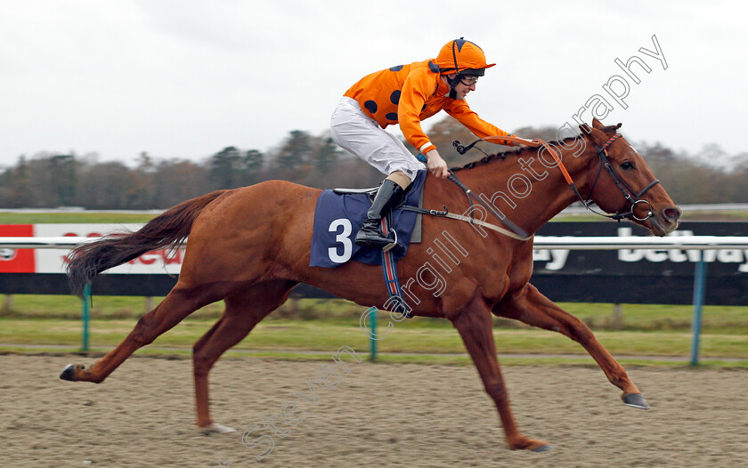 Varsovian-0004 
 VARSOVIAN (Jack Duern) wins The Play Jackpot Games At sunbets.co.uk/vegas Handicap Div1 Lingfield 6 Dec 2017 - Pic Steven Cargill / Racingfotos.com