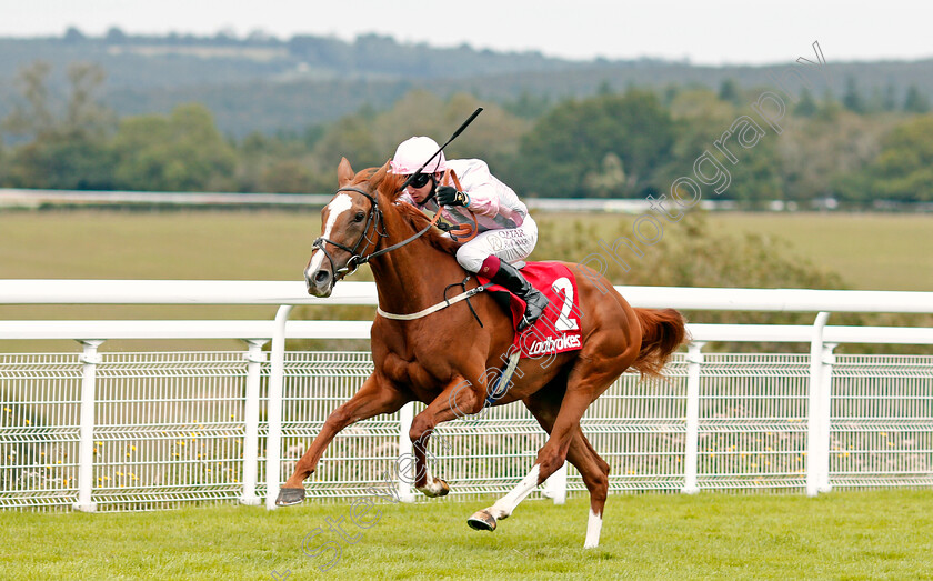 Urban-Artist-0003 
 URBAN ARTIST (Oisin Murphy) wins The Ladbrokes Best Odds Guaranteed Fillies Handicap
Goodwood 30 Aug 2020 - Pic Steven Cargill / Racingfotos.com