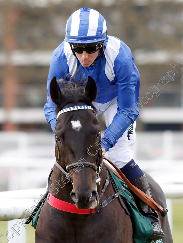 Mohaather-0003 
 MOHAATHER (Jim Crowley) winner of The Watership Down Stud Greenham Stakes
Newbury 13 Apr 2019 - Pic Steven Cargill / Racingfotos.com