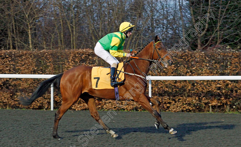 One-Cool-Daddy-0001 
 ONE COOL DADDY (Jack Duern) before winning The Better Odds With Matchbook Novice Stakes Div1 Kempton 21 Mar 2018 - Pic Steven Cargill / Racingfotos.com