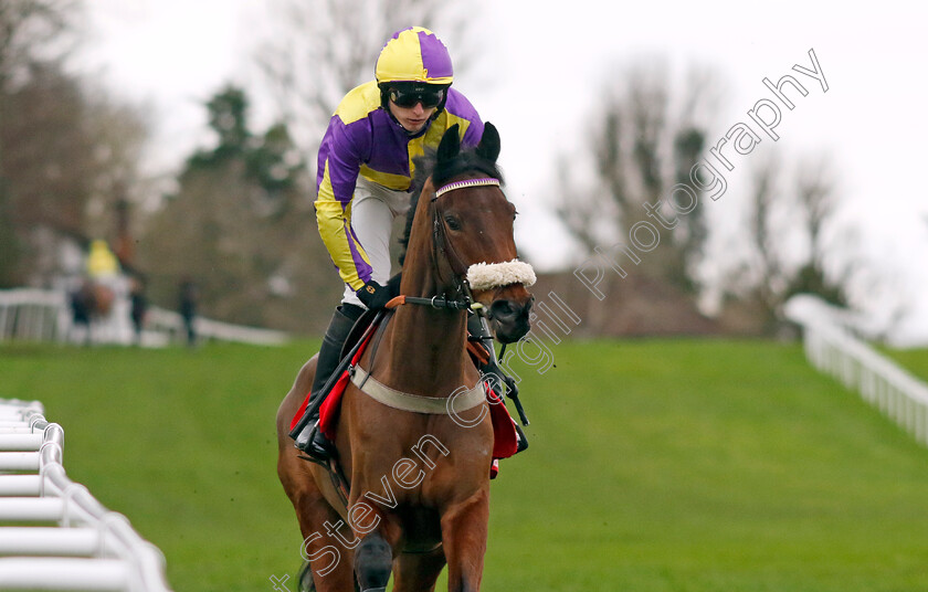 Le-Patron-0001 
 LE PATRON (Niall Houlihan)
Sandown 3 Feb 2024 - Pic Steven Cargill / Racingfotos.com