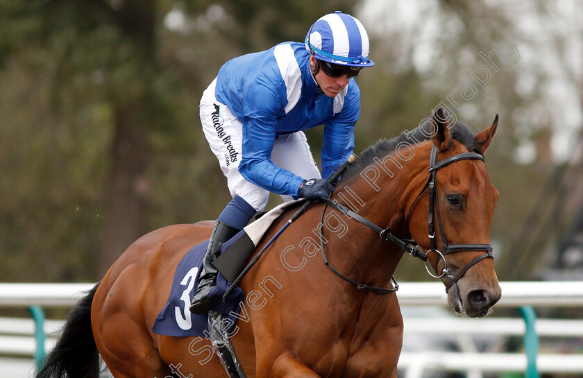 Fanaar-0002 
 FANAAR (Jim Crowley) winner of The Ladbrokes Spring Cup Stakes
Lingfield 2 Mar 2019 - Pic Steven Cargill / Racingfotos.com