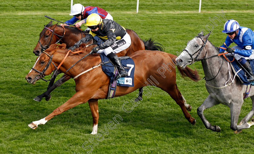 Project-Dante-0003 
 PROJECT DANTE (Graham Lee) beats KORKER (farside) and JADHLAAN (right) in The British Stallion Studs EBF Novice Stakes
York 12 May 2021 - Pic Steven Cargill / Racingfotos.com