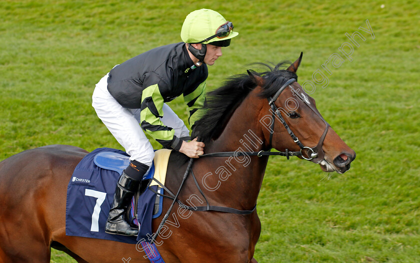 Prince-Iago-0001 
 PRINCE IAGO (Jason Hart)
Chester 8 May 2024 - Pic Steven Cargill / Racingfotos.com