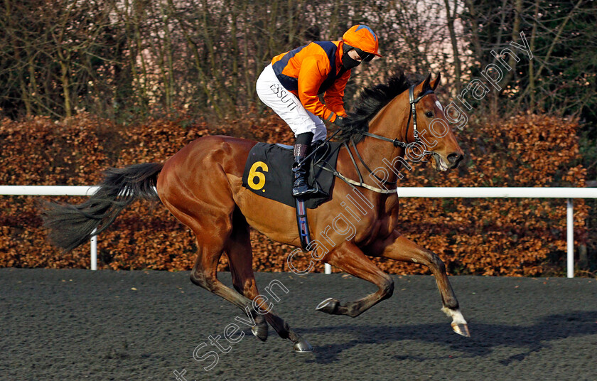 Potters-Freddie-0001 
 POTTERS FREDDIE (Tom Queally)
Kempton 3 Feb 2021 - Pic Steven Cargill / Racingfotos.com