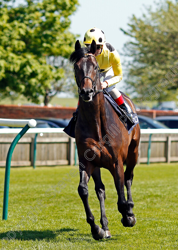 Sharja-Bridge-0001 
 SHARJA BRIDGE (Andrea Atzeni) Newmarket 5 May 2018 - Pic Steven Cargill / Racingfotos.com