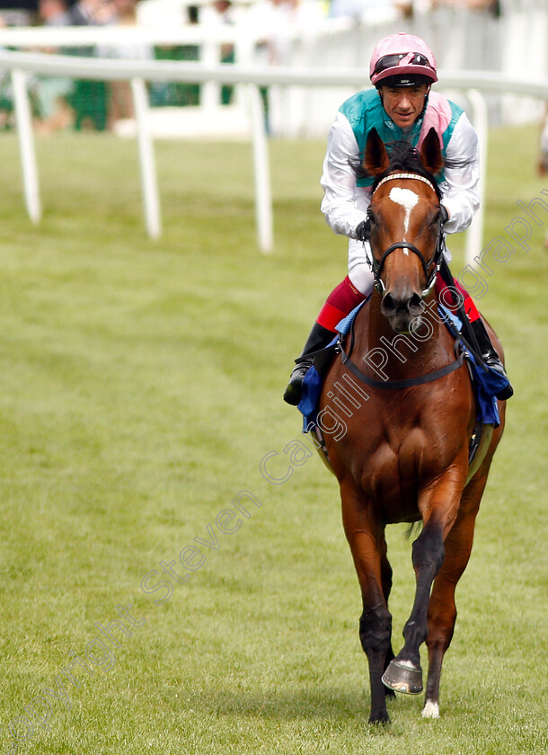 Enable-0019 
 ENABLE (Frankie Dettori) after The Coral Eclipse Stakes
Sandown 6 Jul 2019 - Pic Steven Cargill / Racingfotos.com