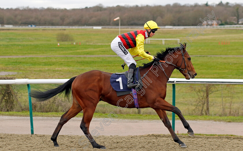 Kodiac-Thriller-0006 
 KODIAC THRILLER (William Cox) winner of The BetMGM It's Showtime EBF Novice Stakes
Lingfield 23 Dec 2023 - Pic Steven Cargill / Racingfotos.com